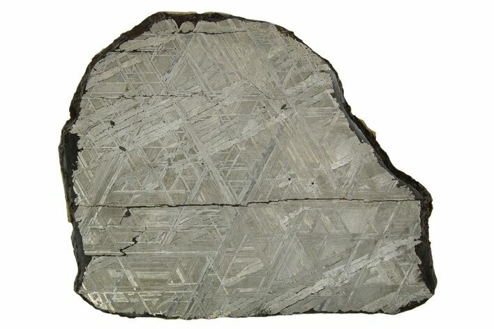 Etched Muonionalusta Meteorite Slice ( g) - Sweden #316726